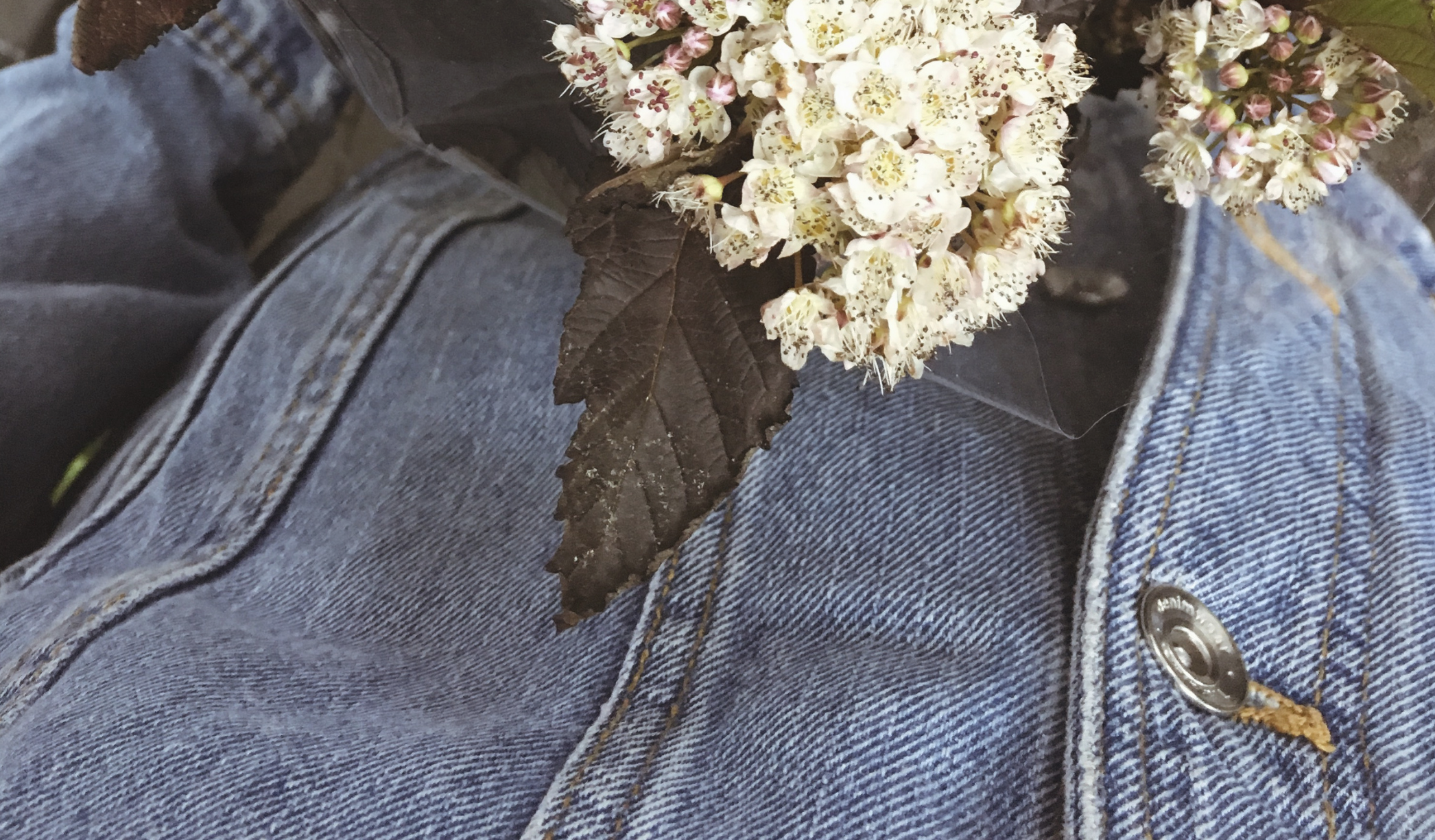 Jeans - Selective Seconds Fashion Resale