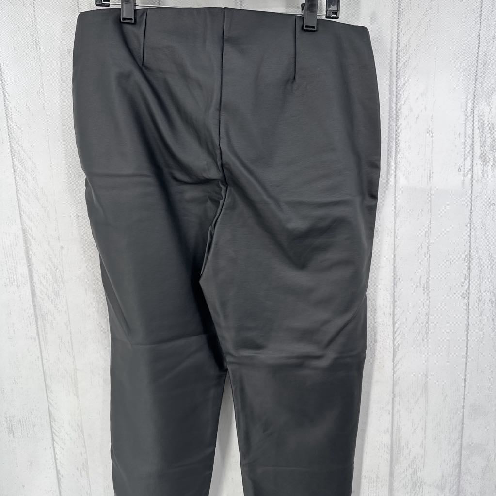 2.5 faux leather pullon pants