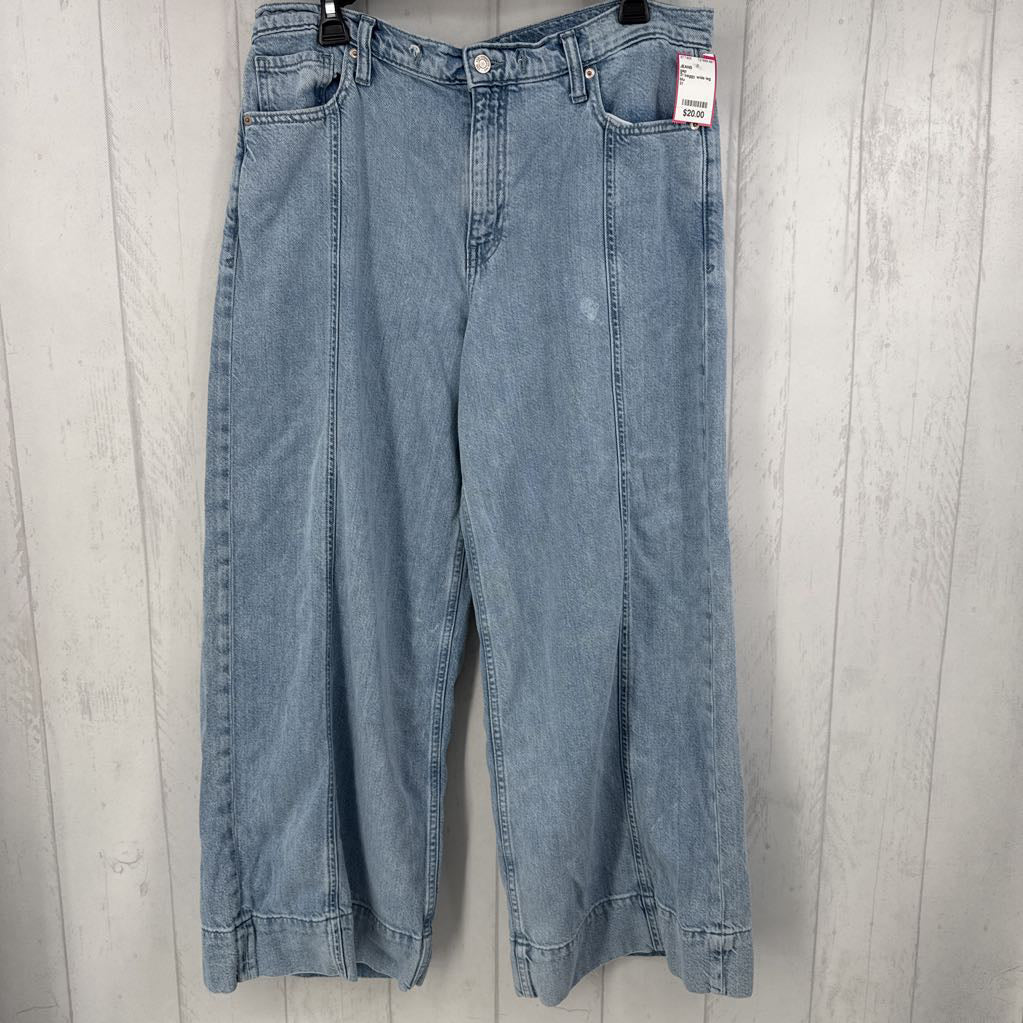 31 baggy wide leg jean