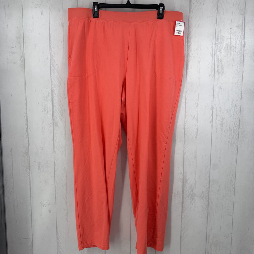 XL pull on pant