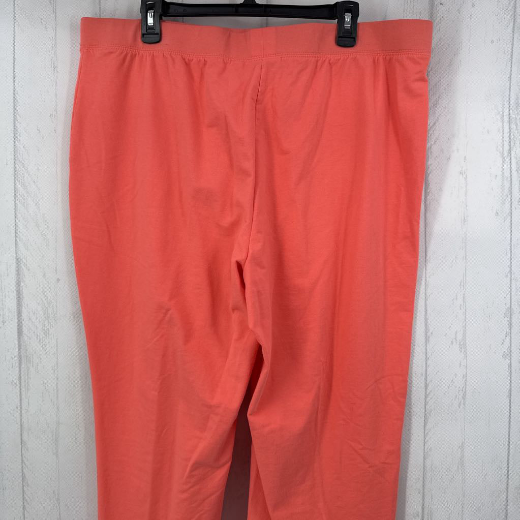 XL pull on pant