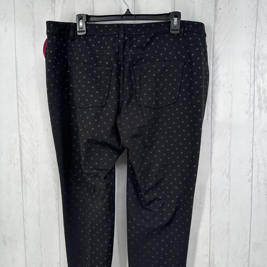 14W polka dot pant