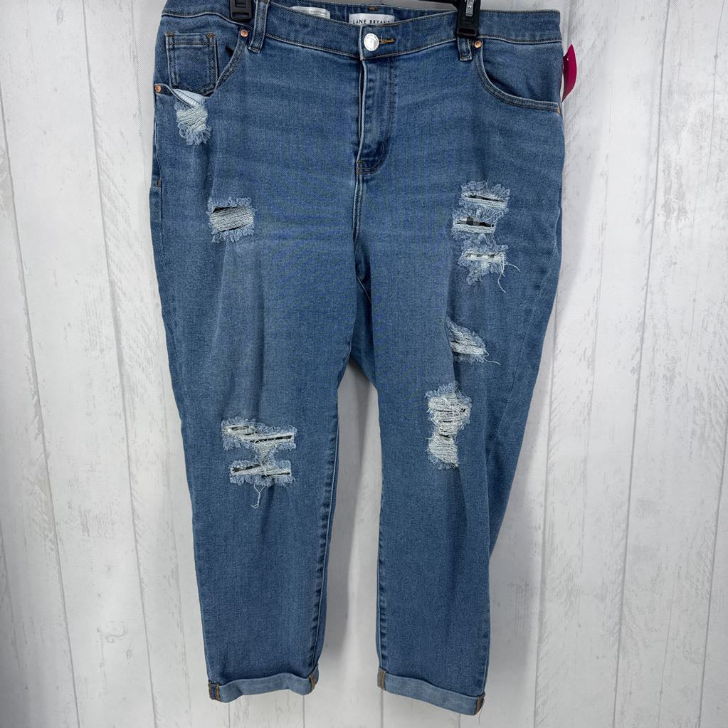 16 distressed jeans