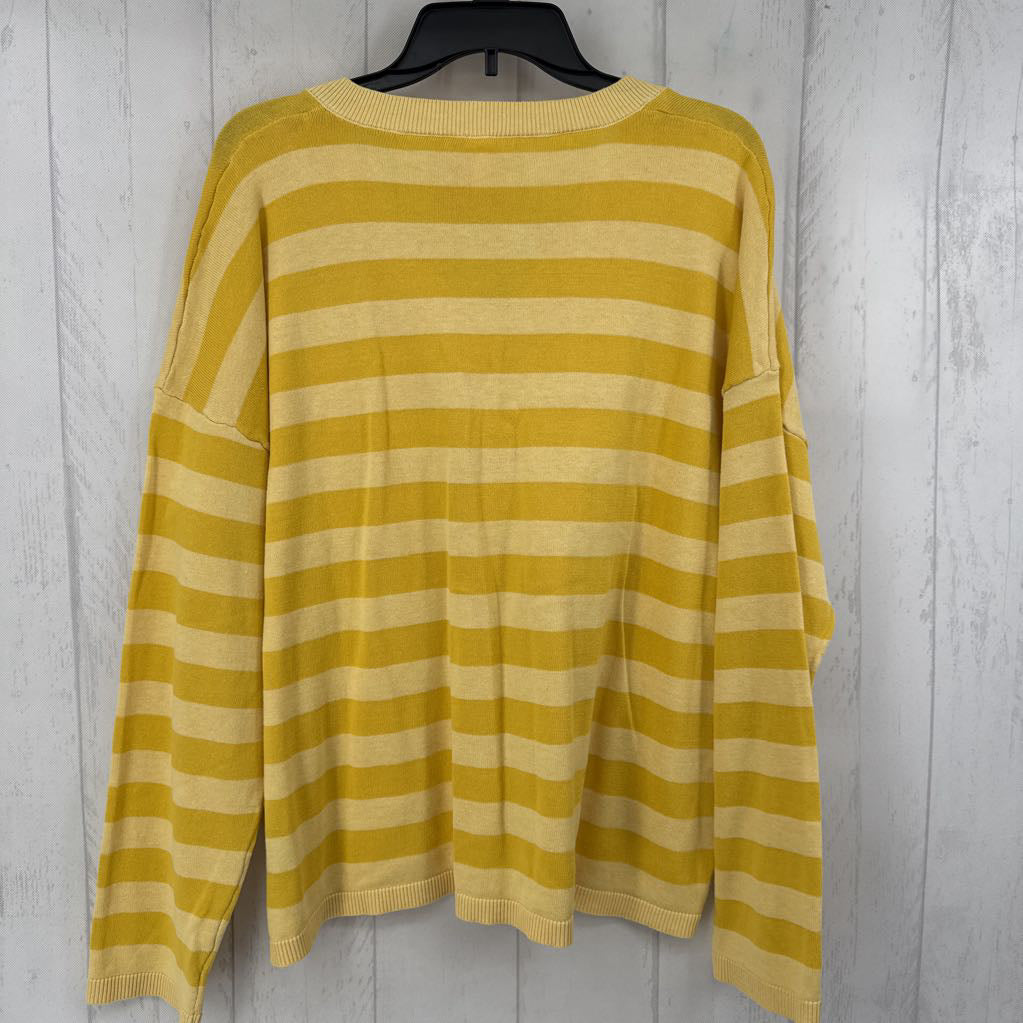 L striped v-neck sweater
