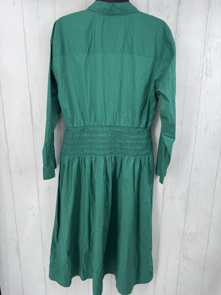 8 smocked waist button down l/s dress