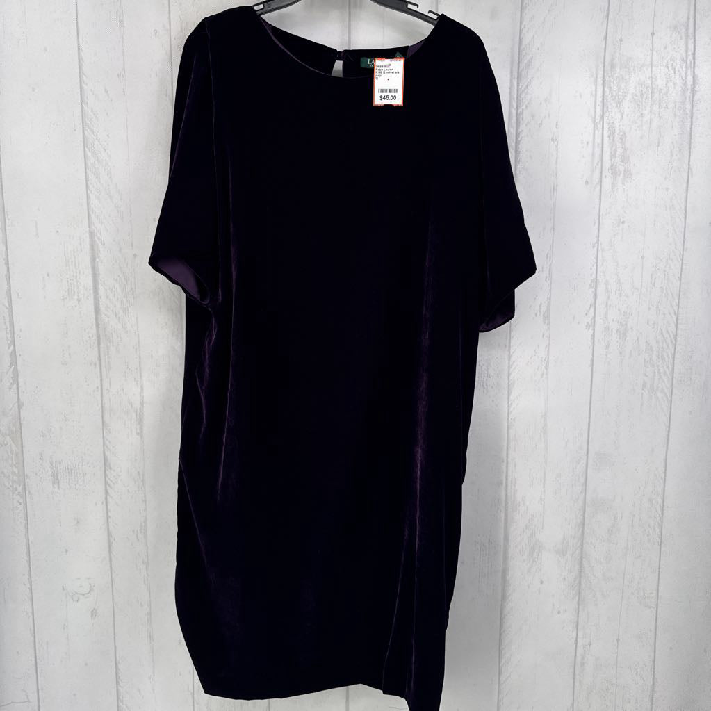 R195 12 velvet s/s dress