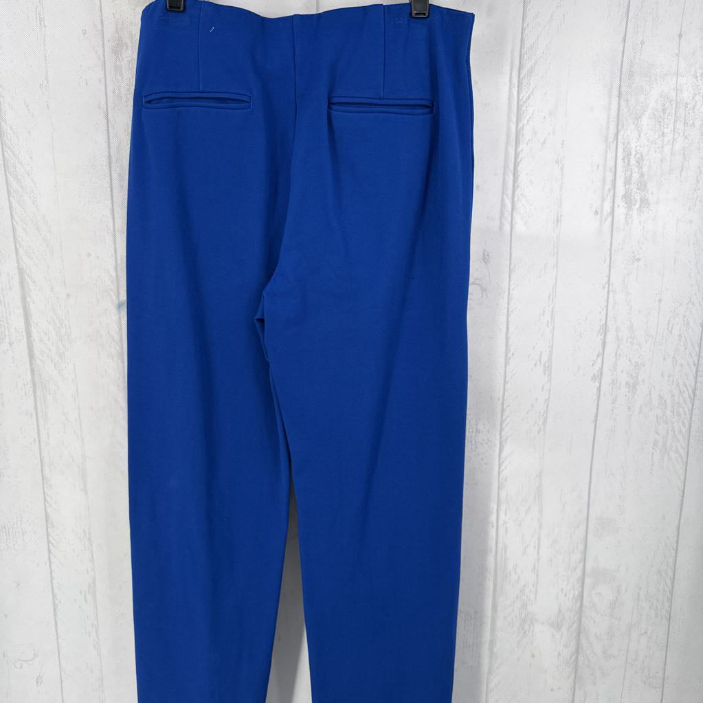 10 pull-on wide leg pant