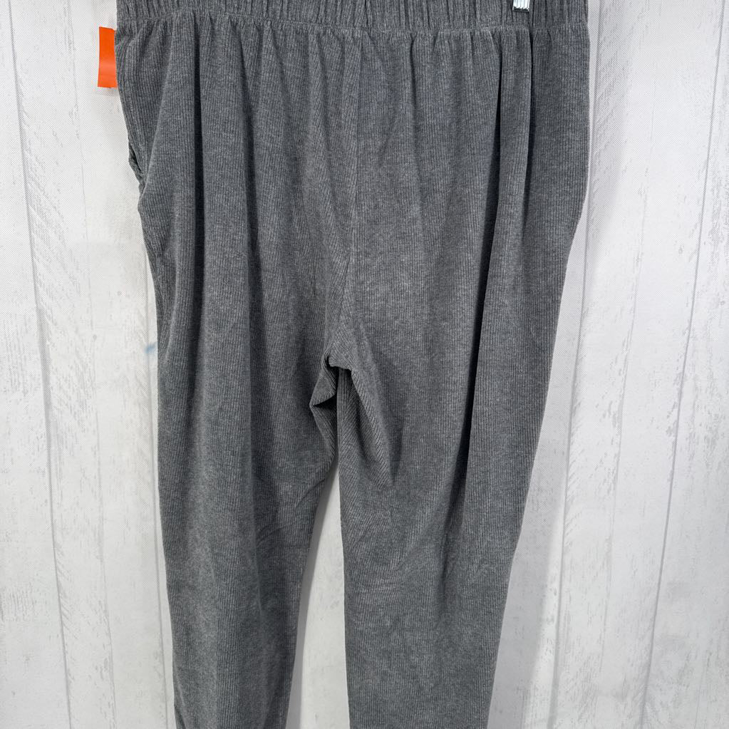 1X velour ribbed pull-on pant