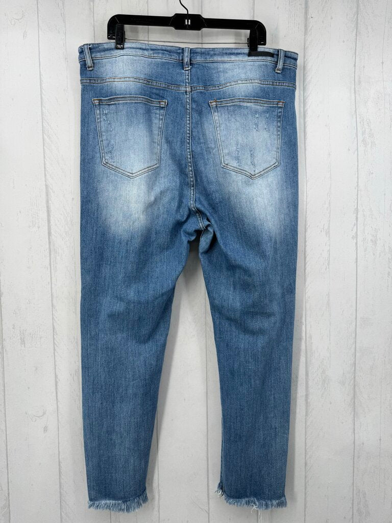 2XL distressed raw edge jean