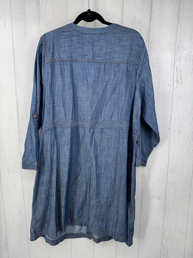 2X button down denim l/s dress