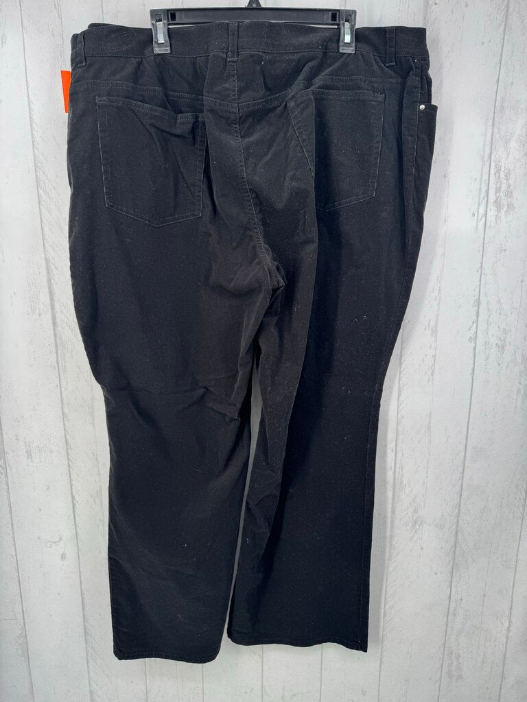 22W stretch corduroy pant