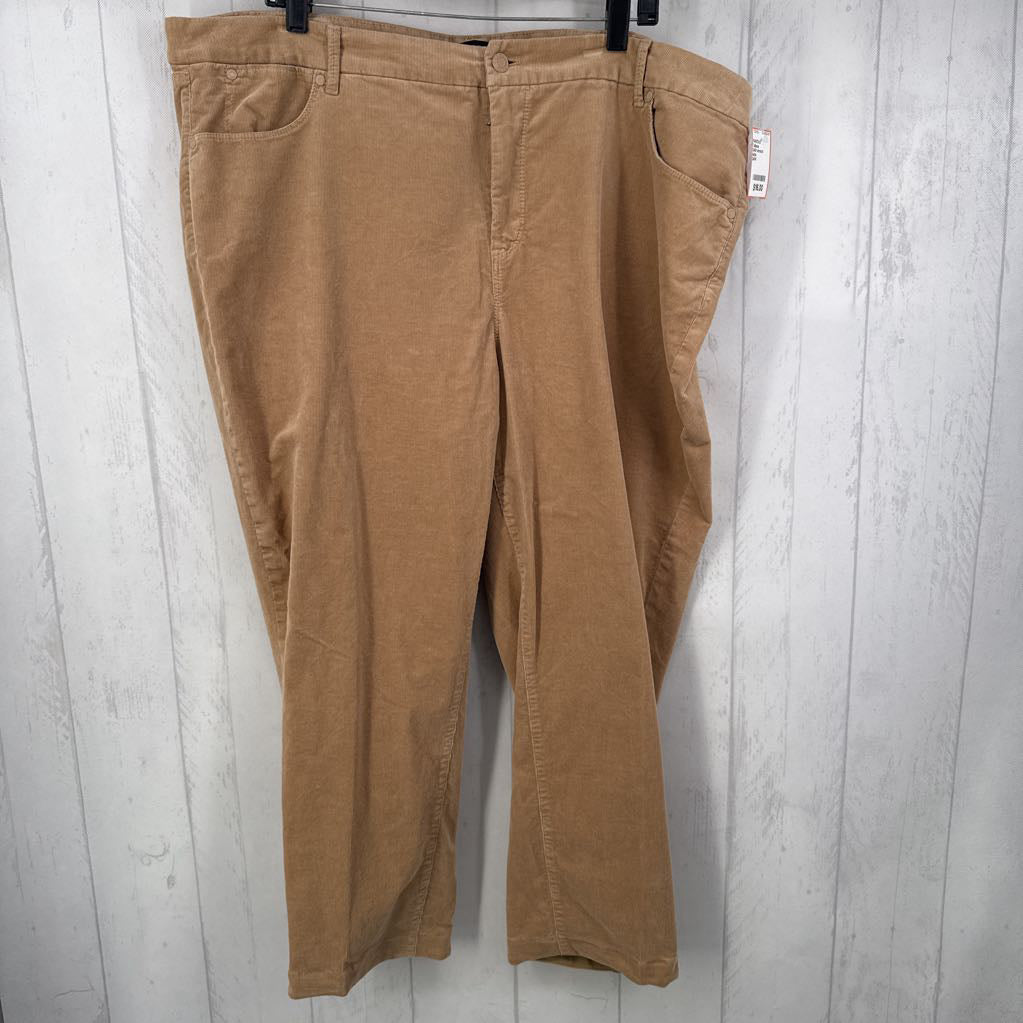 24W stretch corduroy pant