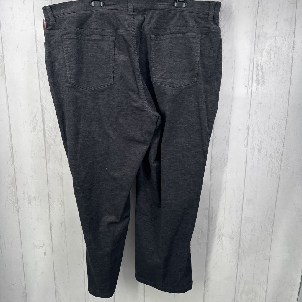 22W stretch corduroy pant
