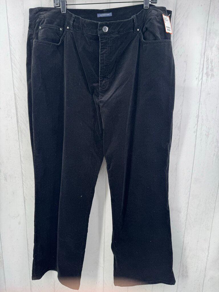 22W stretch corduroy pant