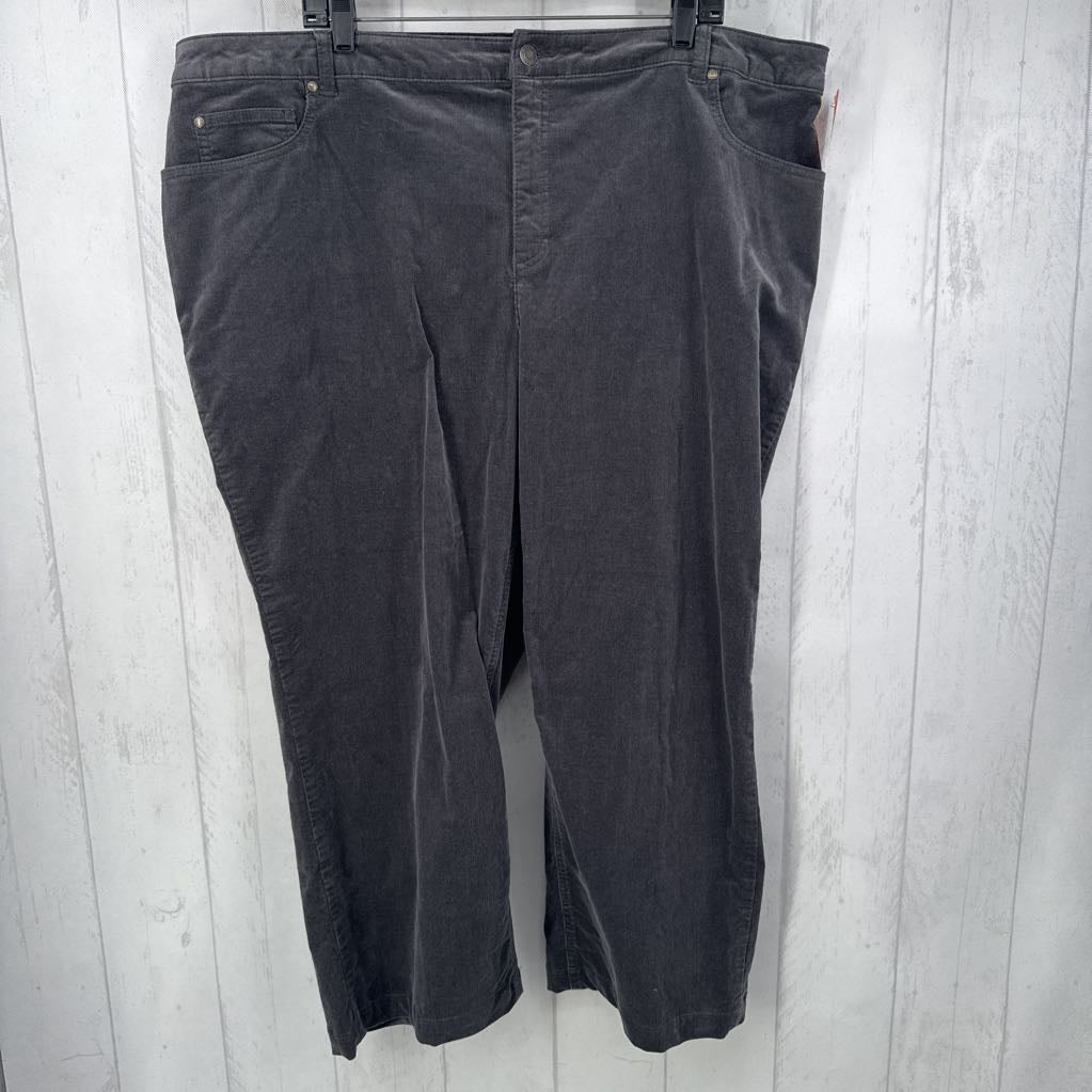 24W corduroy pants