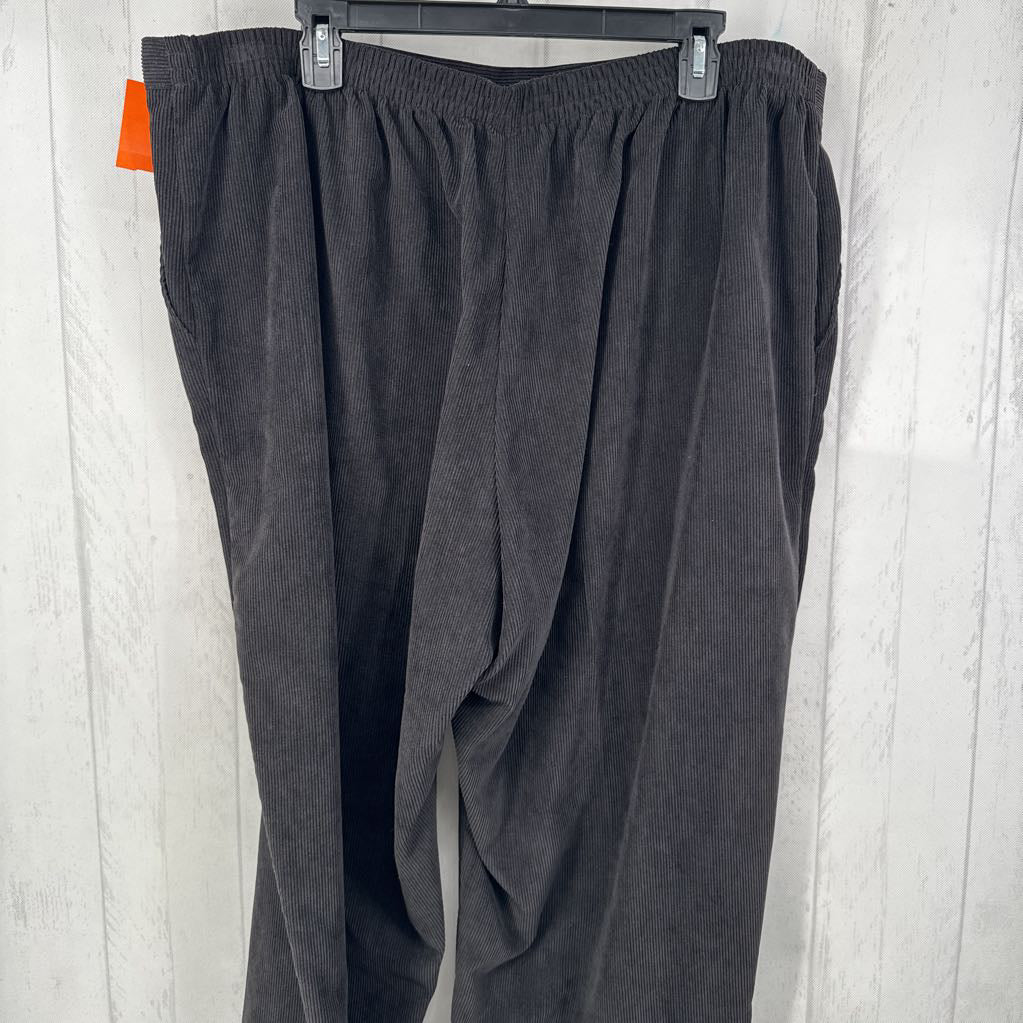 22W pull-on corduroy pant