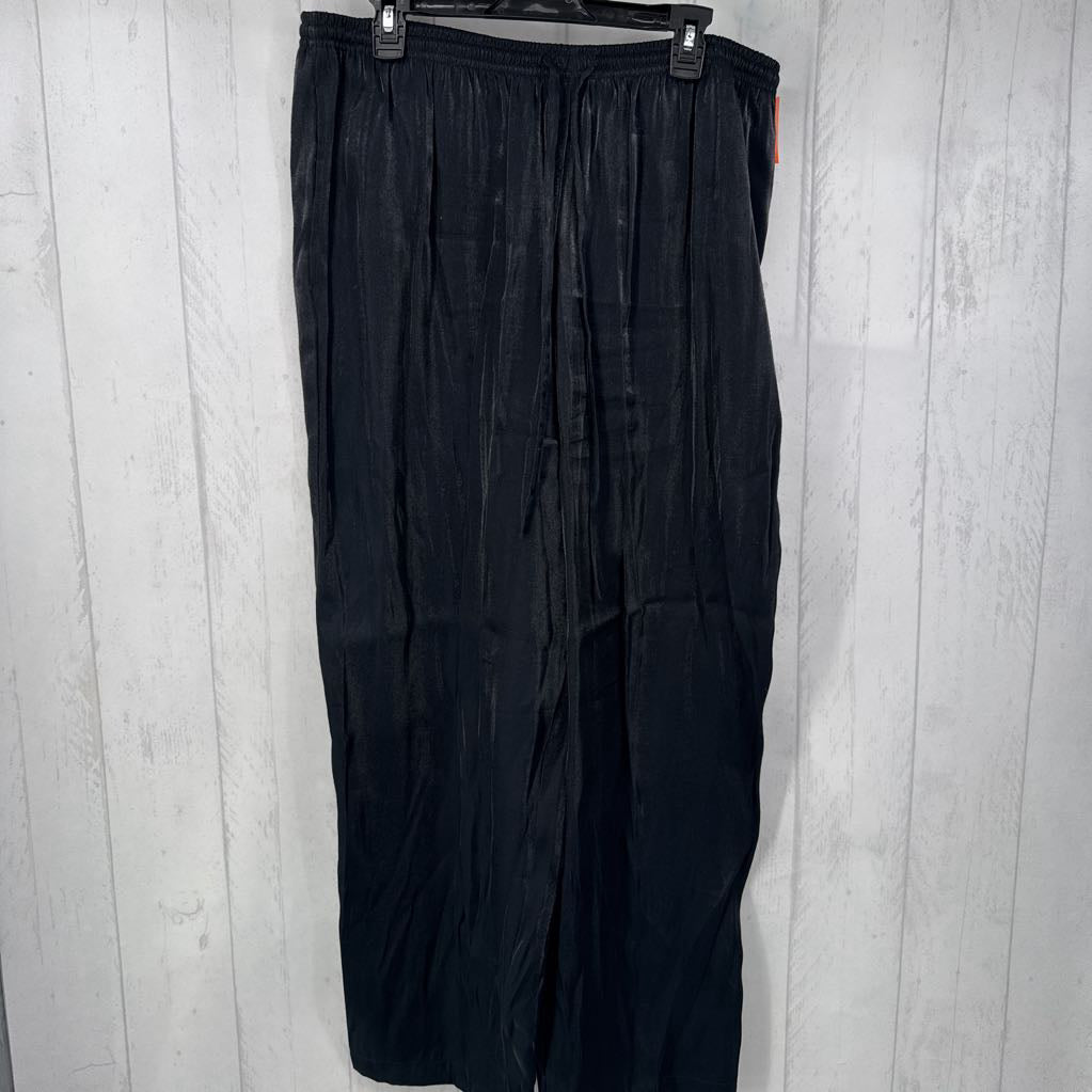 1x silky drawstring pants