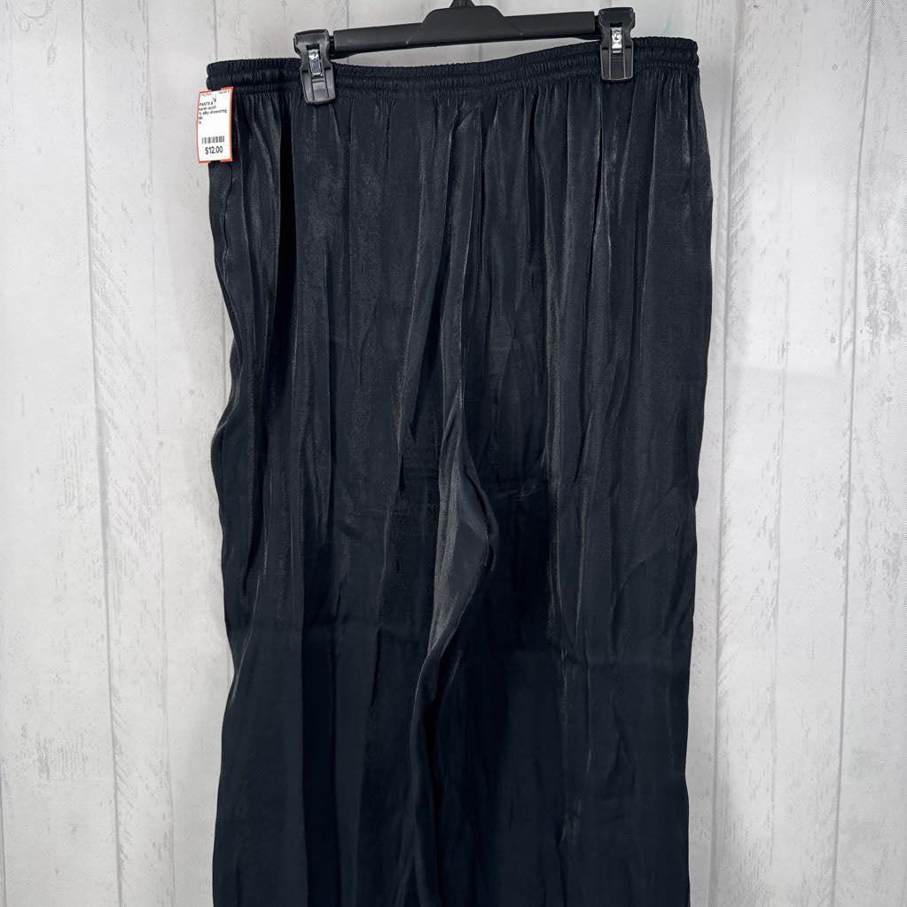 1x silky drawstring pants