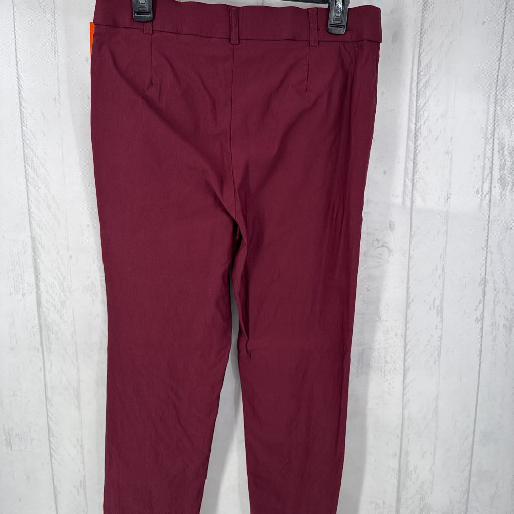 10 pull-on skinny pant