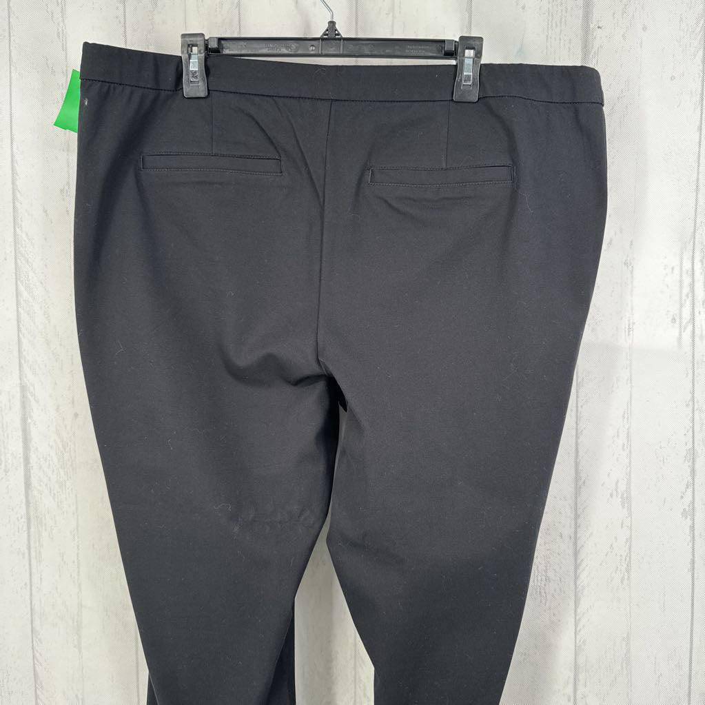 20w pearl embellished pants