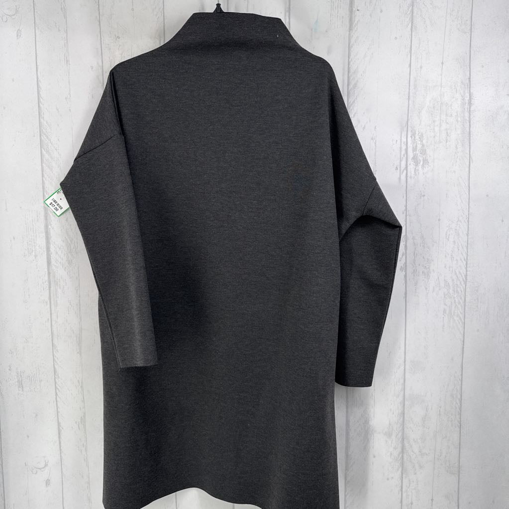 XL mock neck l/s dress