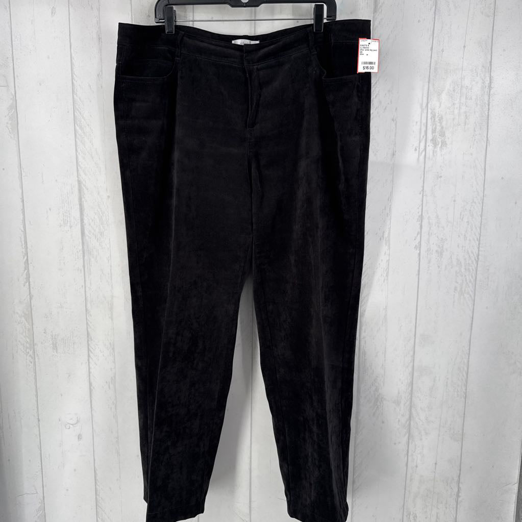 20w wide leg pant
