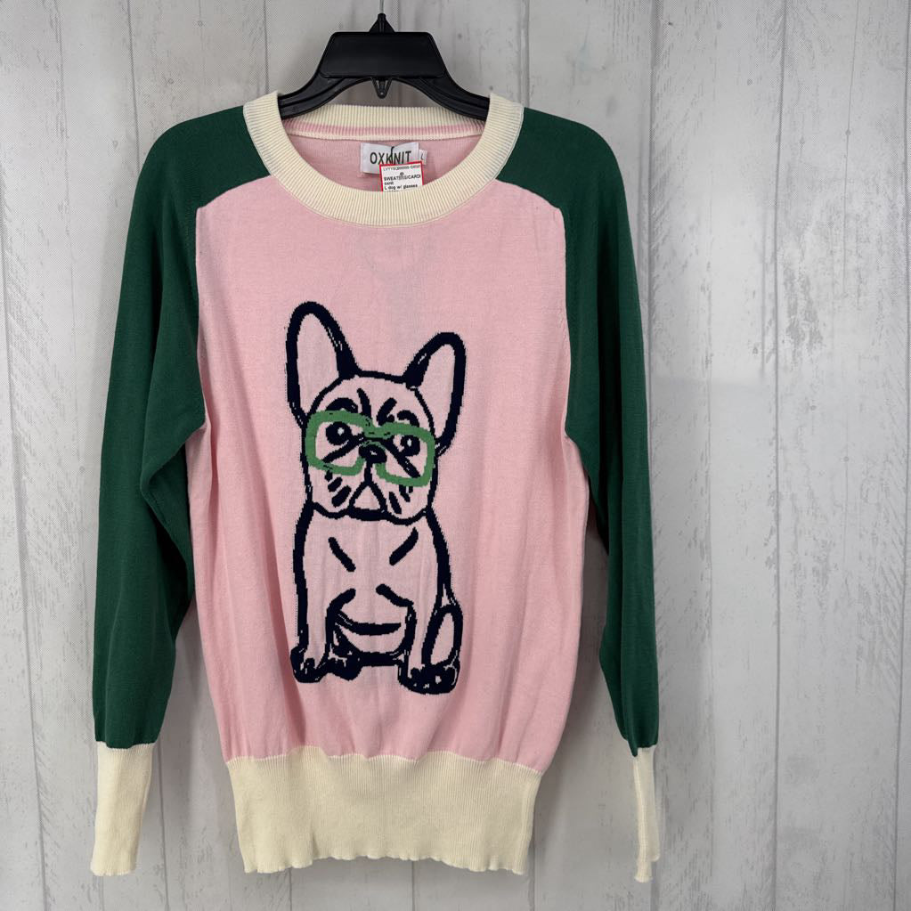 L dog w/ glasses sweater