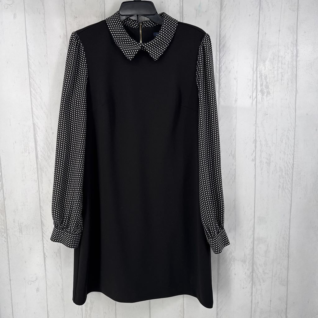 12 polka dot collar & slv shiftdress l/s