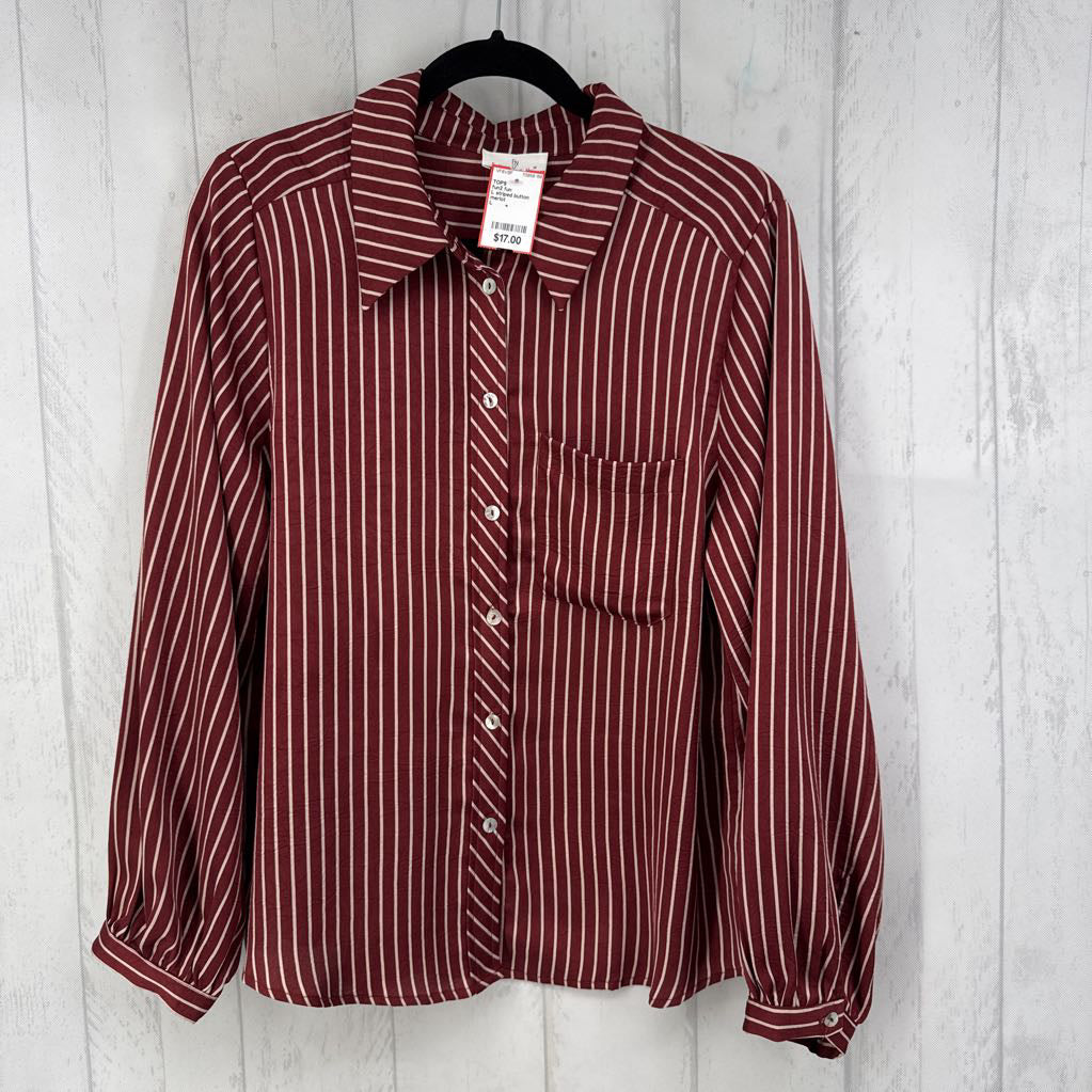 L striped button down l/s top