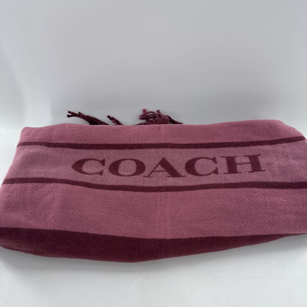 R178signature logo scarf