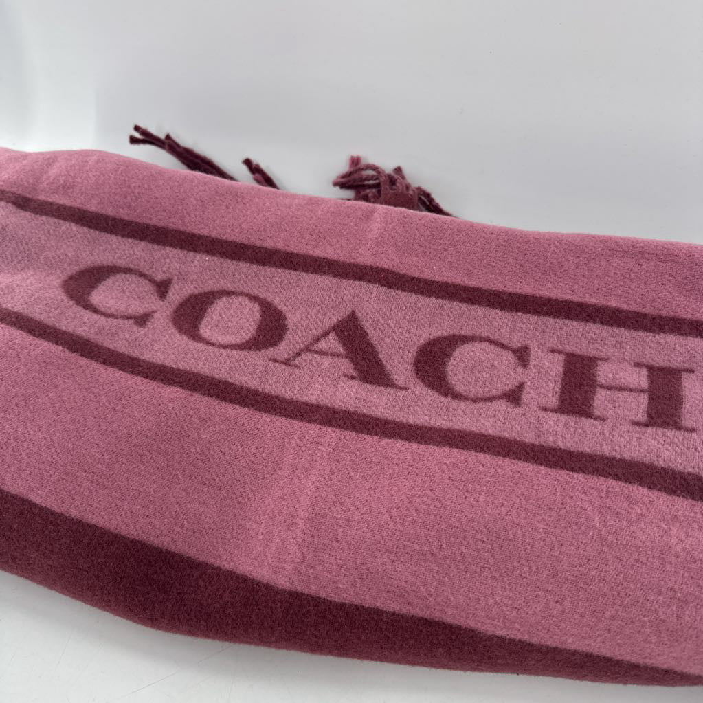 R178signature logo scarf