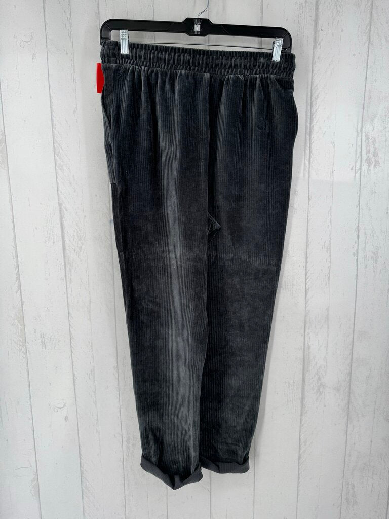 L velour ribbed pull-on pant