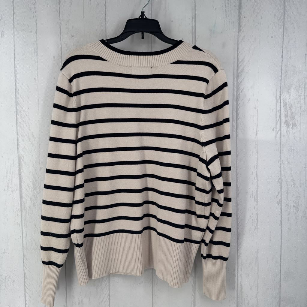 1X striped v-neck sweater