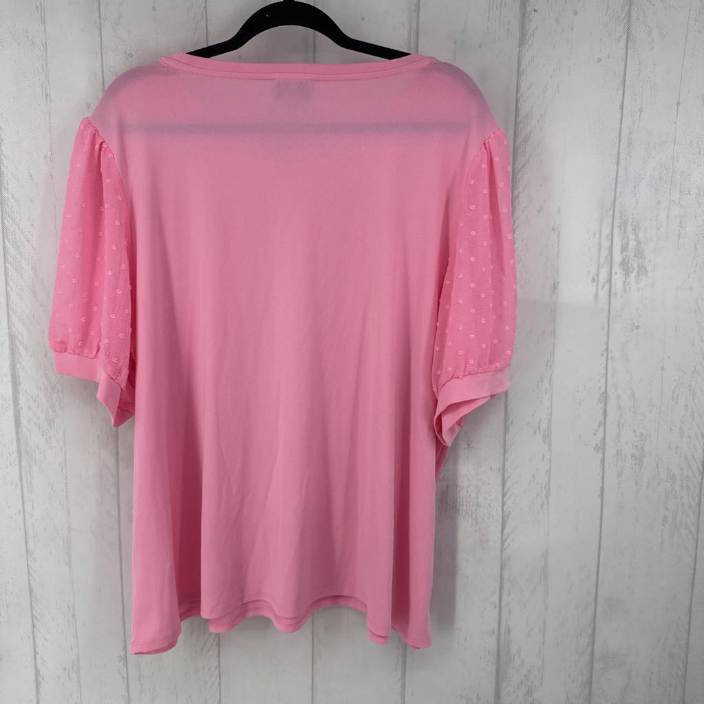 3x tectured slv top