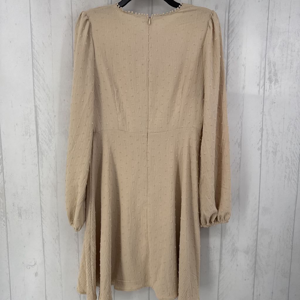 L swiss dot lace accent l/s dress