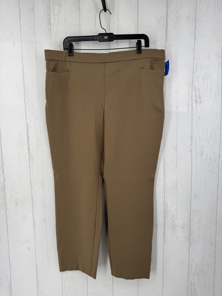 XL pull-on stretch knit pant