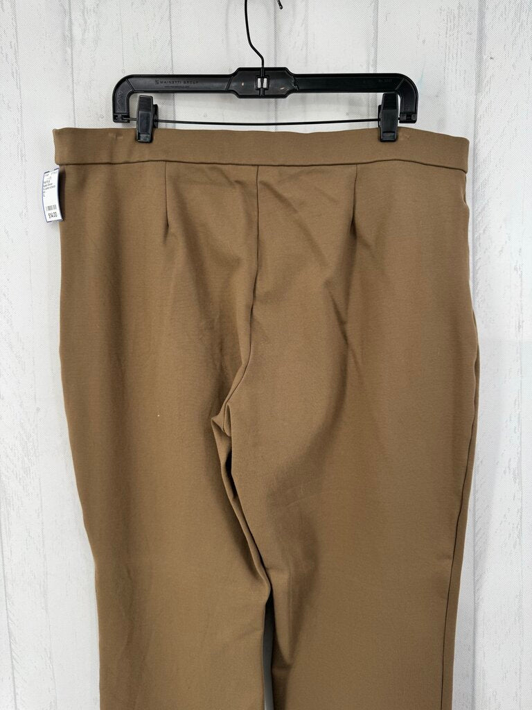 XL pull-on stretch knit pant