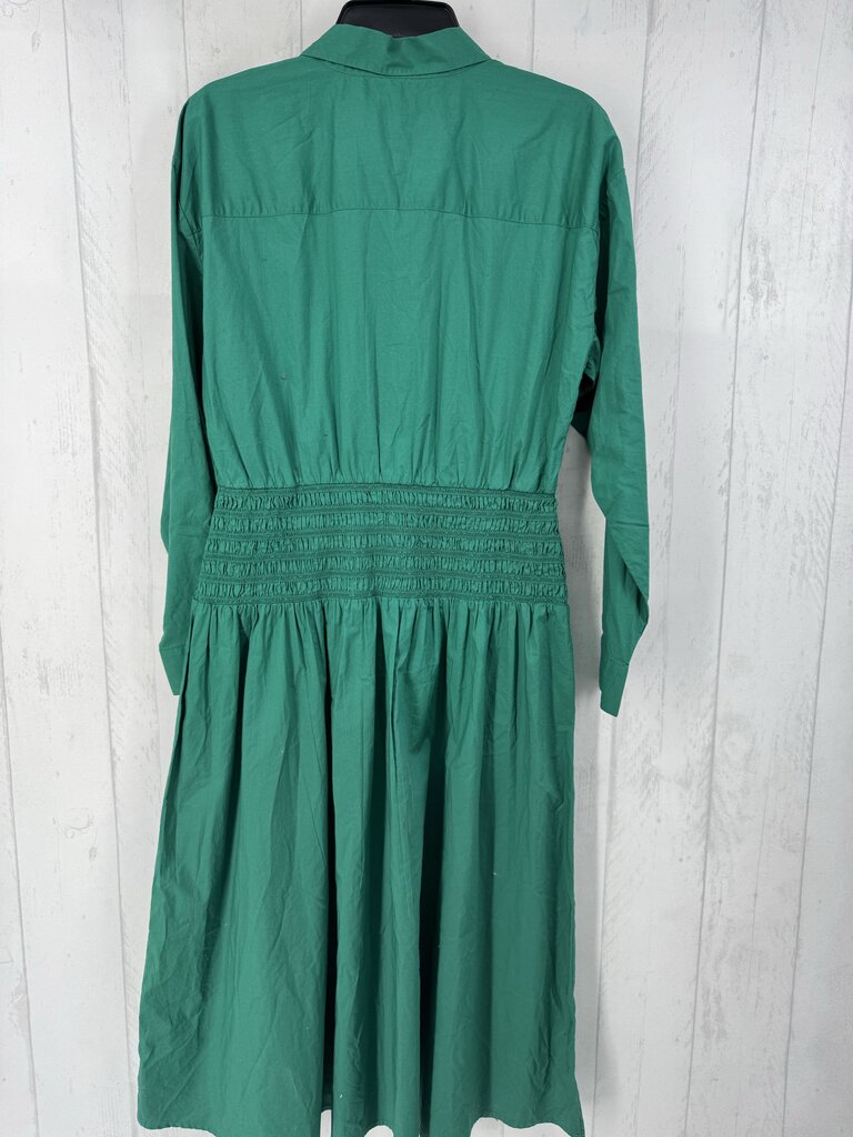 8 button down smocked waist l/s dress