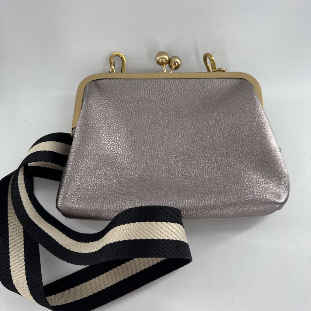 framed metallic kiss-lock crossbody