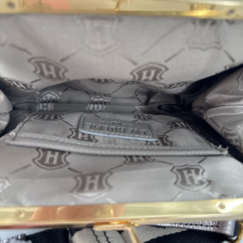 framed metallic kiss-lock crossbody