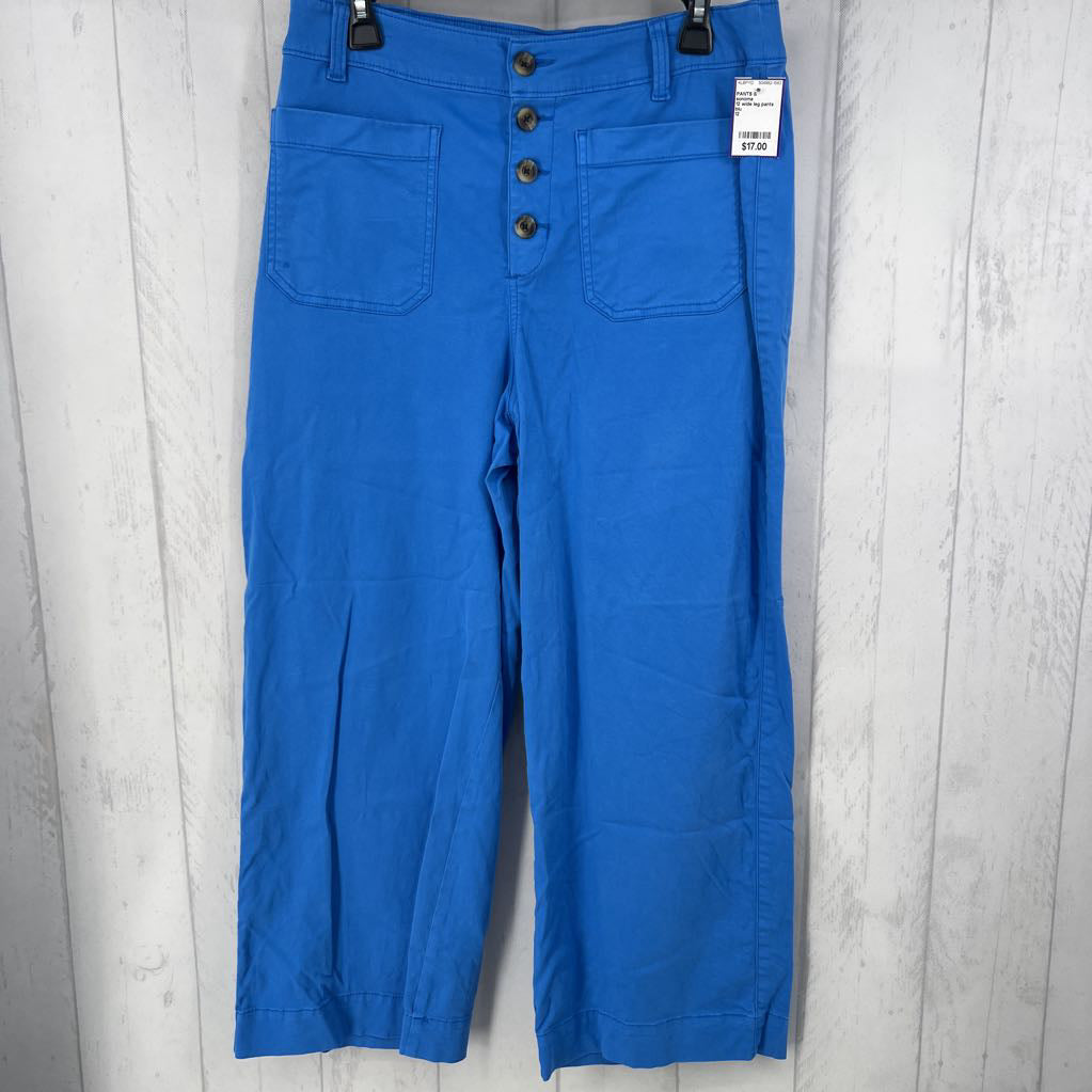 12 wide leg pants