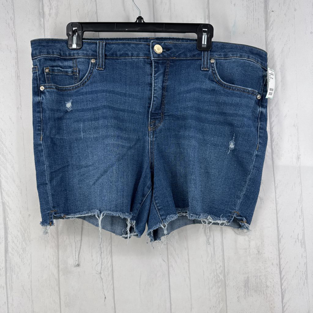 16 cutoff jean shorts