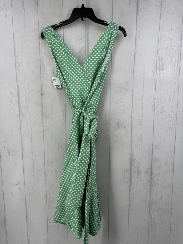 R70 L polka dot belted slvls dress