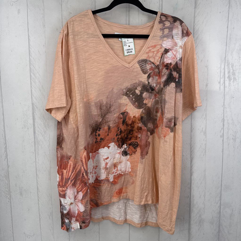 XXL(4) s/s butterfly print top