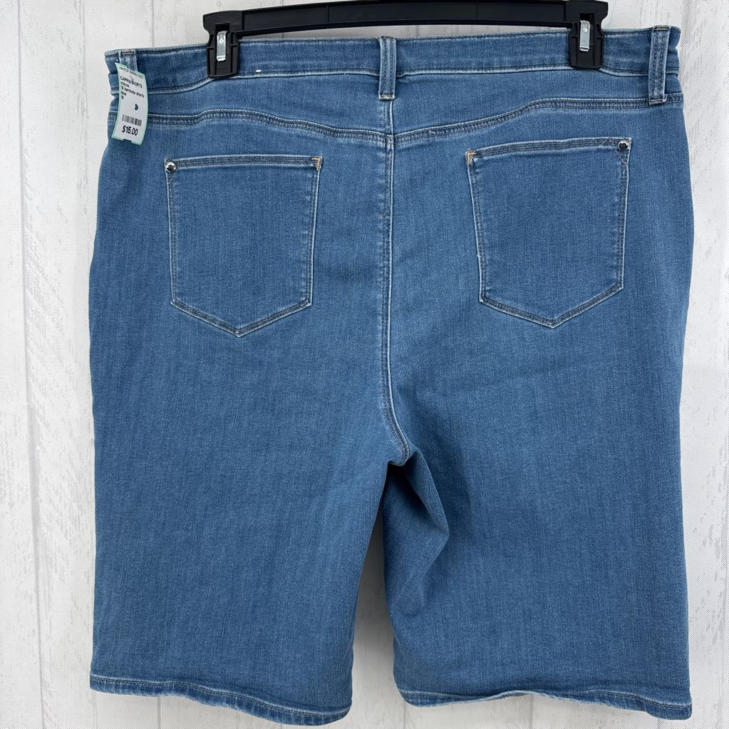 18 bermuda shorts