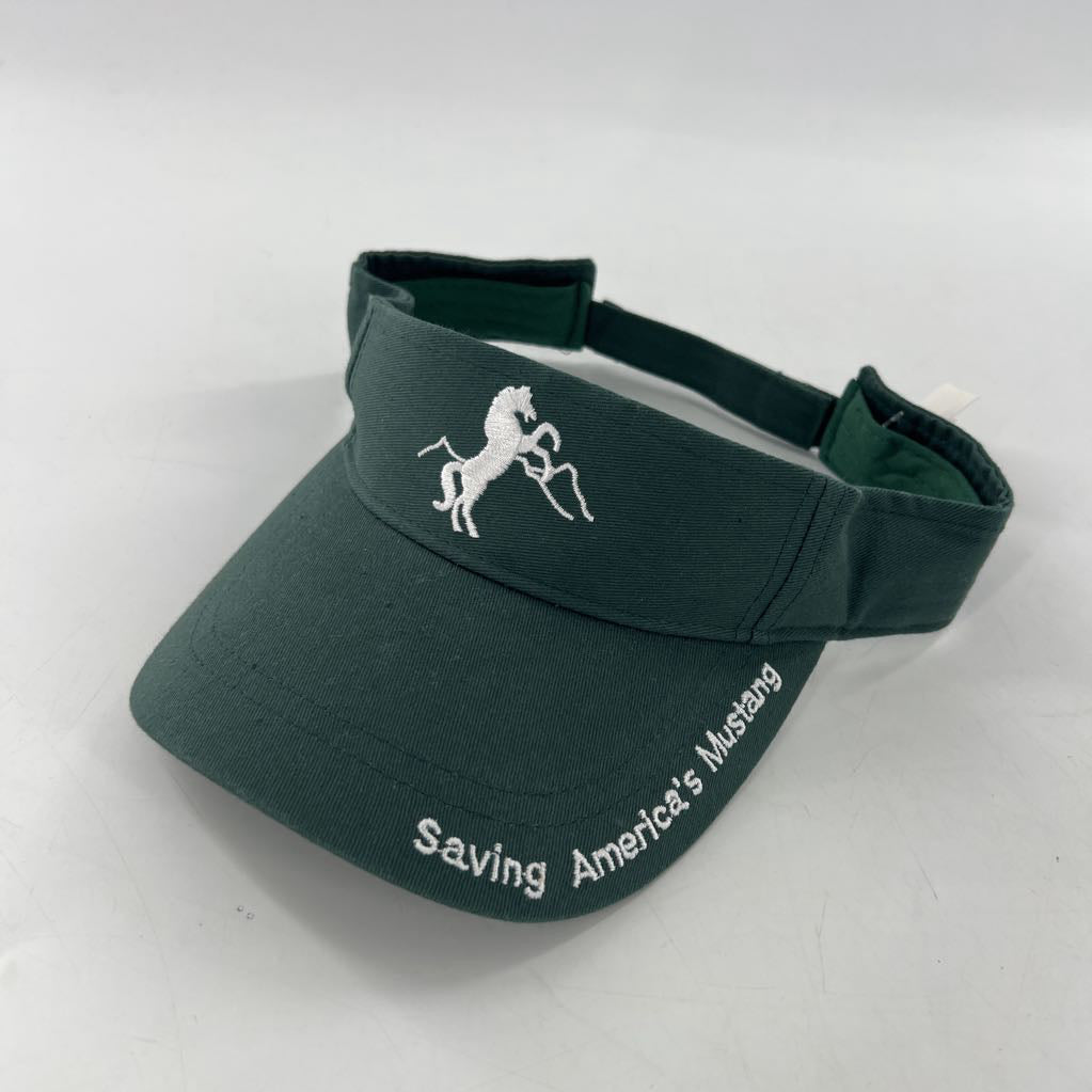 sun visor-mustang