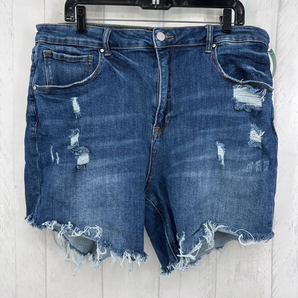 2XL cutoff jean shorts
