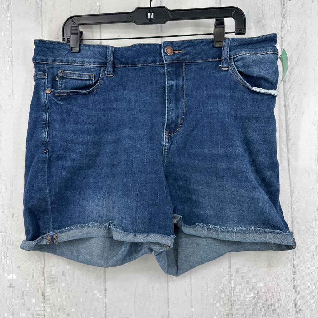 2XL rolled hem jean shorts