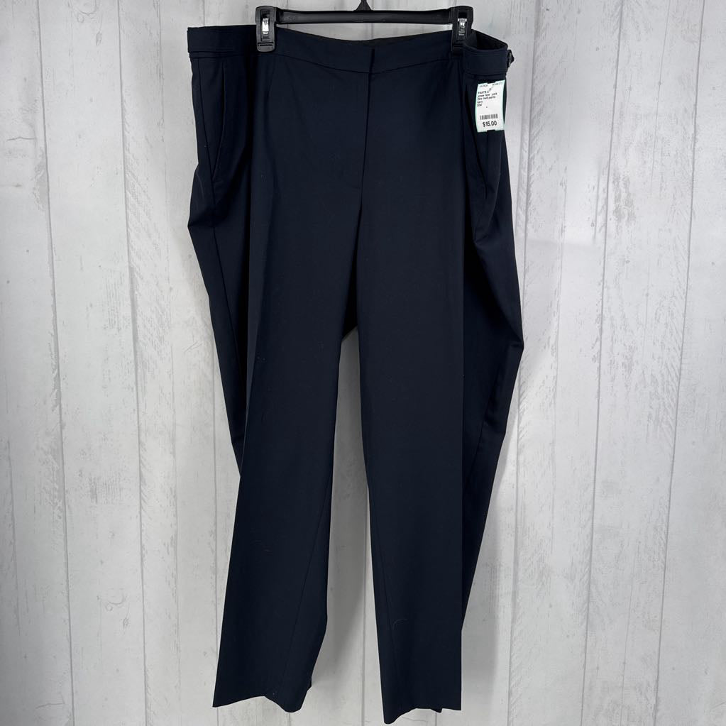 22w twill pants