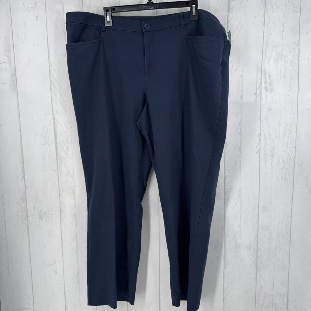 22w twill pants